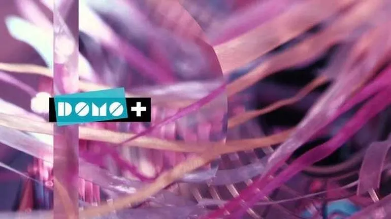 Gdzie rosną pieniądze? Odkrywamy sekrety domo+