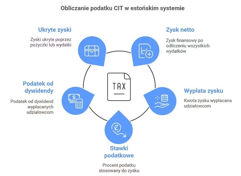 Gdzie trafia podatek CIT i co warto o nim wiedzieć?