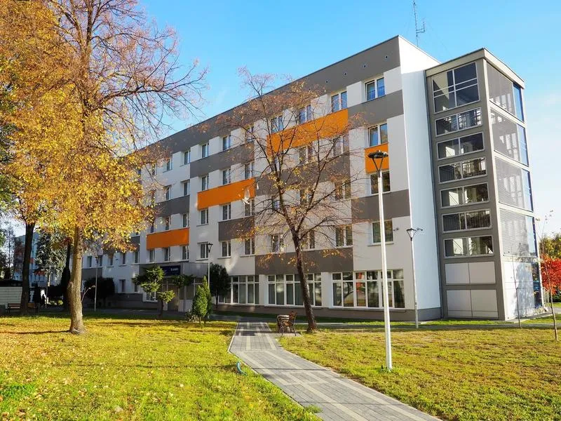 Jak napisać akapit w pracy licencjackiej – ile powinno ich być?