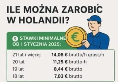 Jakie zarobki w Holandii? Przewodnik po wynagrodzeniach dla Polaków