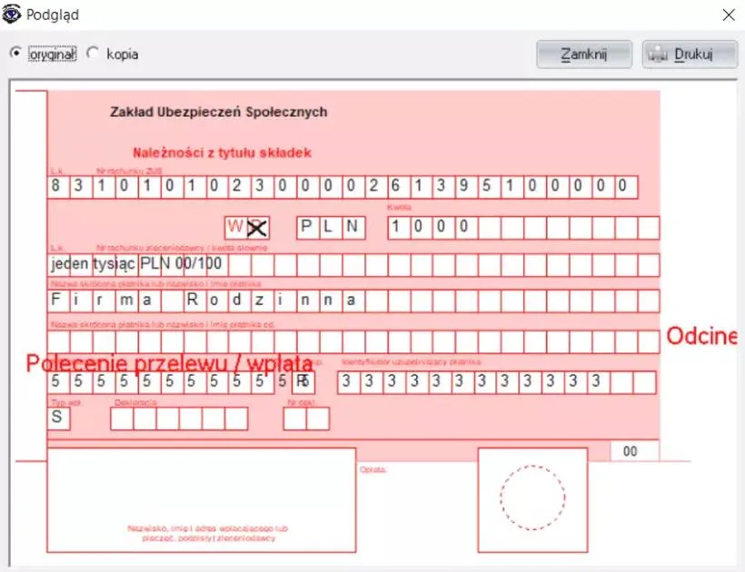 Internetowa bankowość ZUS