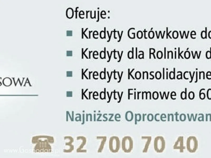 Kredyt bez BIK