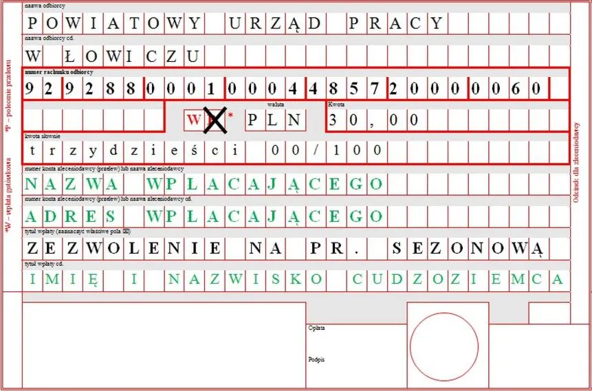 Organizacja finansów