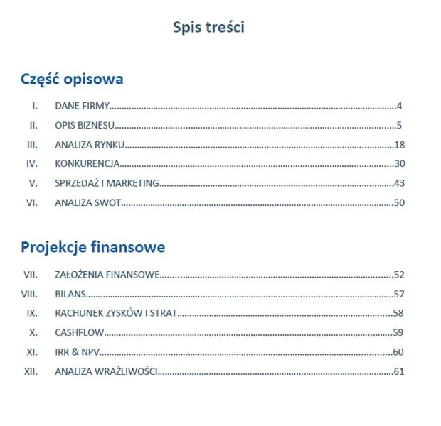 Struktura biznes planu