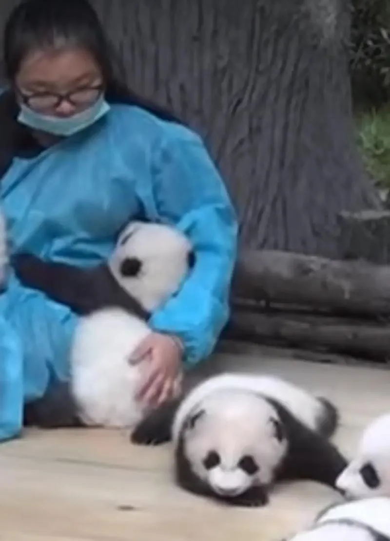 Wymarzone zatrudnienie