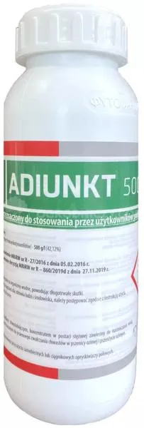 Zarobki asystentów z doktoratem