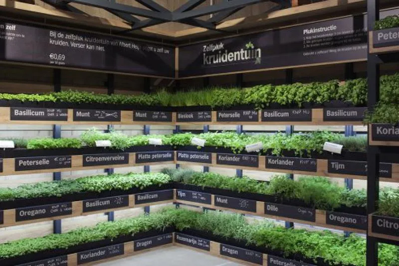 Zioła ekologiczne zyski i przychody